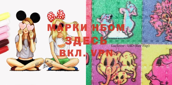 шишки Белокуриха
