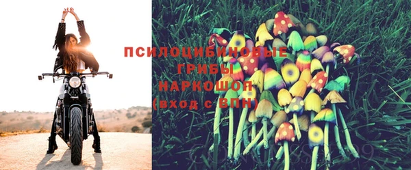 бошки Балахна